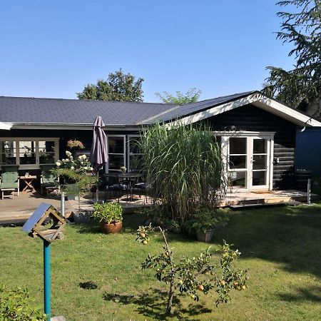 Spurvereden Ved Vandet Greve Esterno foto
