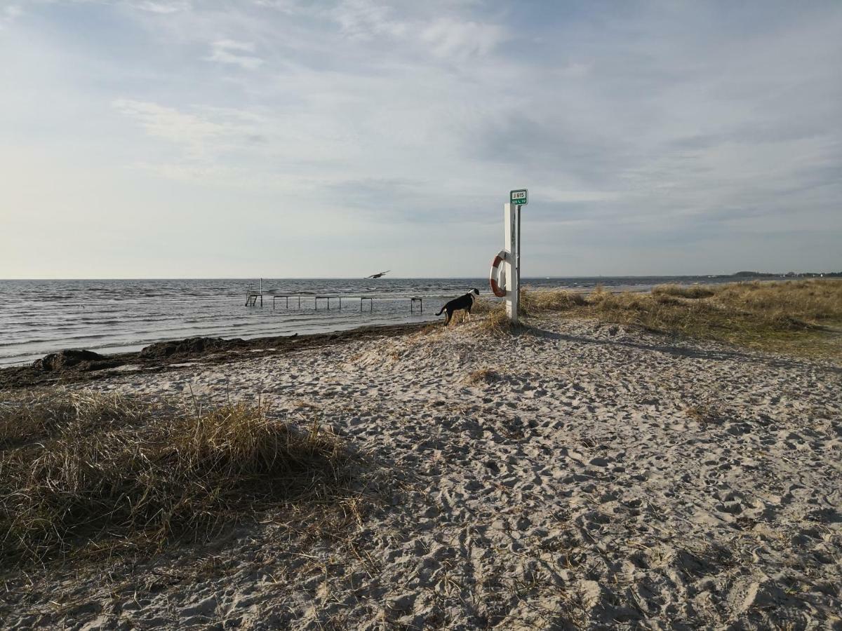 Spurvereden Ved Vandet Greve Esterno foto
