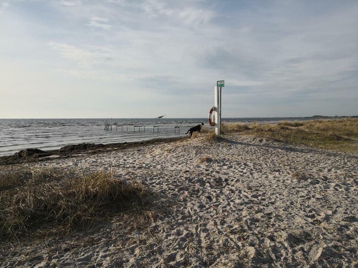 Hotel Spurvereden Ved Vandet Greve Esterno foto